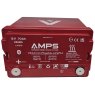 AMPS L12100 Lithium Iron Phosphate Battery